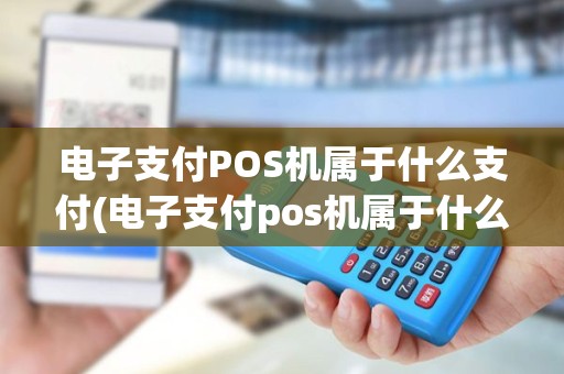 电子支付POS机属于什么支付(电子支付pos机属于什么支付类型)