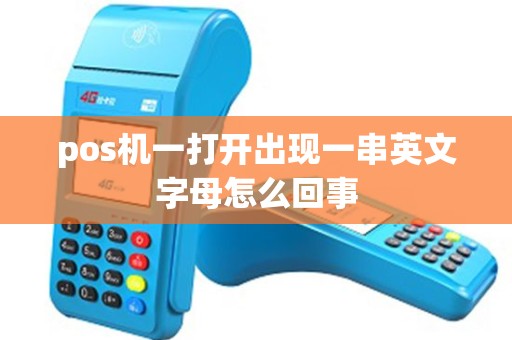 pos机一打开出现一串英文字母怎么回事