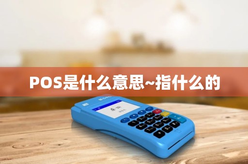 POS是什么意思~指什么的