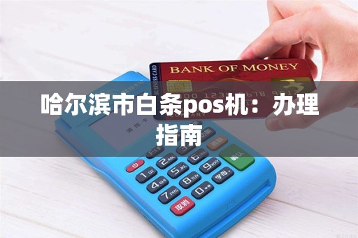 哈尔滨市白条pos机：办理指南