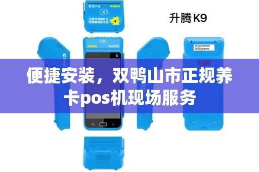 便捷安装，双鸭山市正规养卡pos机现场服务