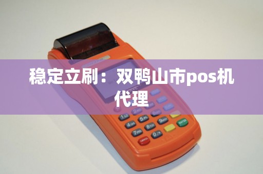 稳定立刷：双鸭山市pos机代理