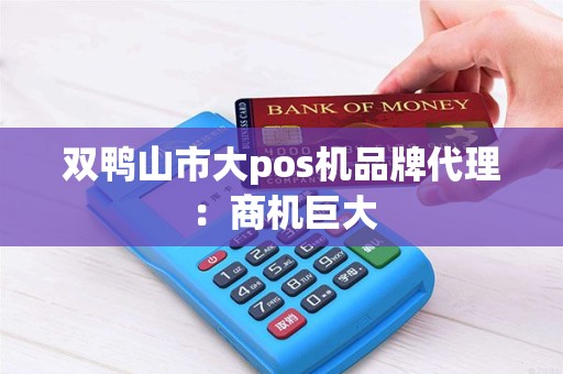 双鸭山市大pos机品牌代理：商机巨大