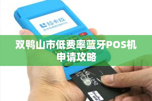 双鸭山市低费率蓝牙POS机申请攻略