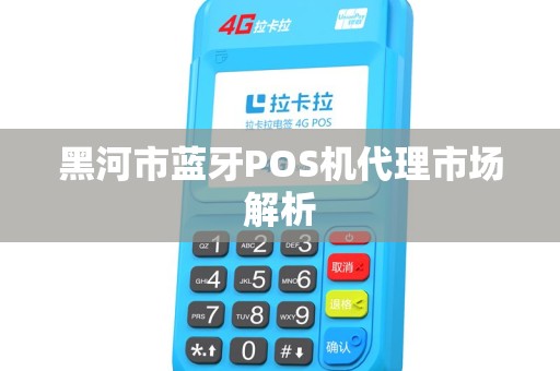 黑河市蓝牙POS机代理市场解析