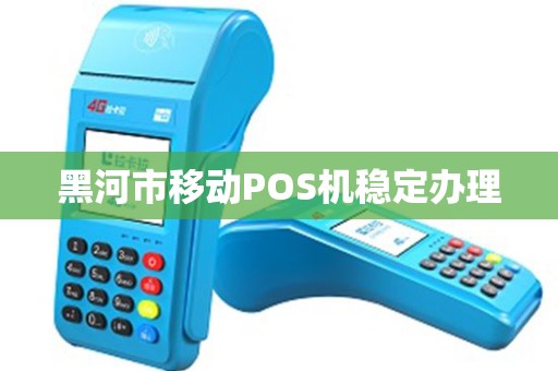 黑河市移动POS机稳定办理
