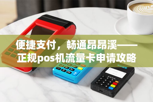 便捷支付，畅通昂昂溪——正规pos机流量卡申请攻略