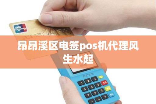 昂昂溪区电签pos机代理风生水起