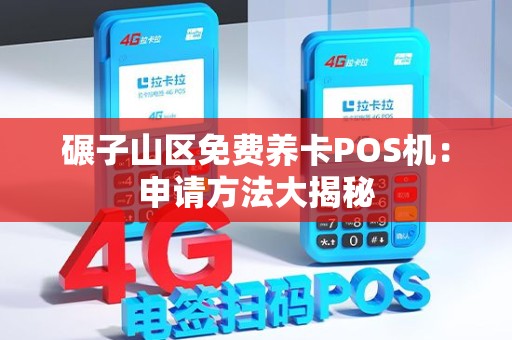 碾子山区免费养卡POS机：申请方法大揭秘