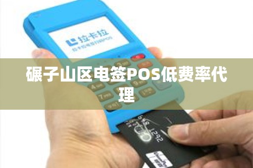 碾子山区电签POS低费率代理