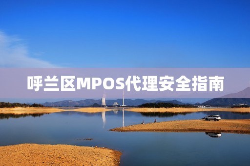 呼兰区MPOS代理安全指南