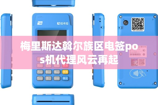 梅里斯达斡尔族区电签pos机代理风云再起