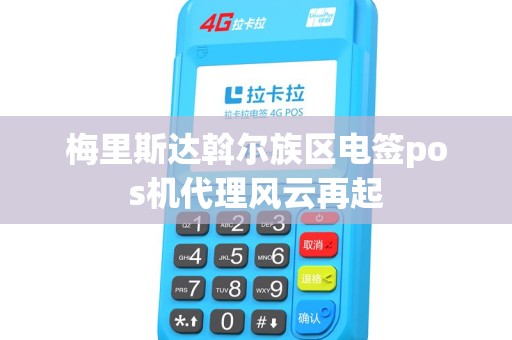 梅里斯达斡尔族区电签pos机代理风云再起