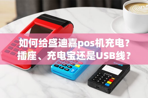 如何给盛迪嘉pos机充电？插座、充电宝还是USB线？