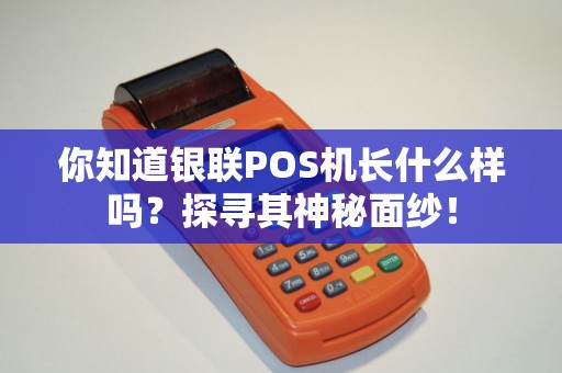 你知道银联POS机长什么样吗？探寻其神秘面纱！