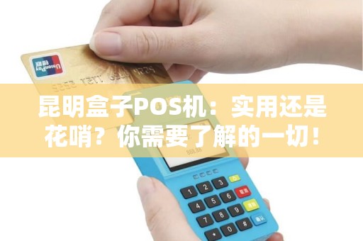 昆明盒子POS机：实用还是花哨？你需要了解的一切！
