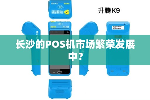 长沙的POS机市场繁荣发展中？
