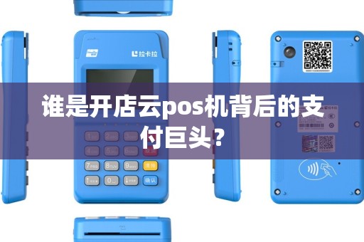 谁是开店云pos机背后的支付巨头？