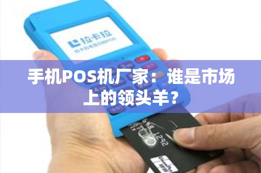 手机POS机厂家：谁是市场上的领头羊？