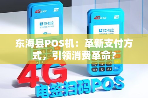 东海县POS机：革新支付方式，引领消费革命？