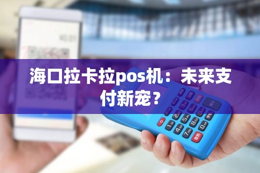 海口拉卡拉pos机：未来支付新宠？