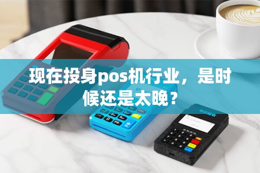 现在投身pos机行业，是时候还是太晚？
