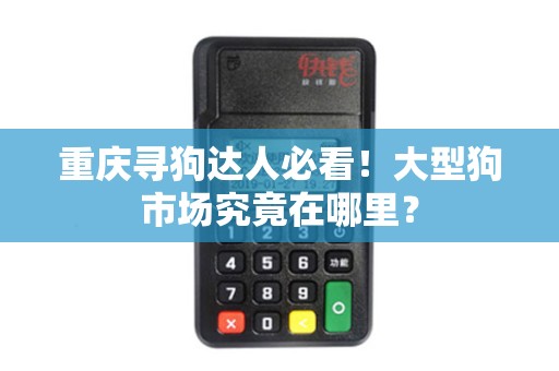 重庆寻狗达人必看！大型狗市场究竟在哪里？