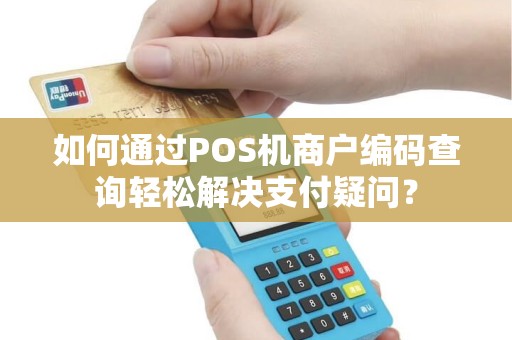 如何通过POS机商户编码查询轻松解决支付疑问？