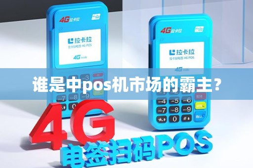谁是中pos机市场的霸主？