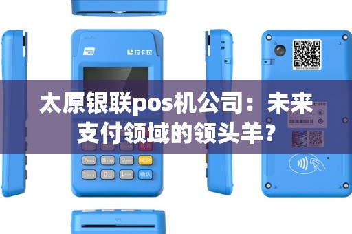 太原银联pos机公司：未来支付领域的领头羊？