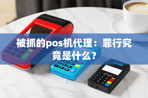 被抓的pos机代理：罪行究竟是什么？
