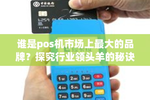 谁是pos机市场上最大的品牌？探究行业领头羊的秘诀！