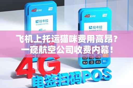 飞机上托运猫咪费用高昂？一窥航空公司收费内幕！