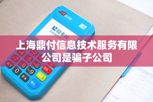 上海鼎付信息技术服务有限公司是骗子公司