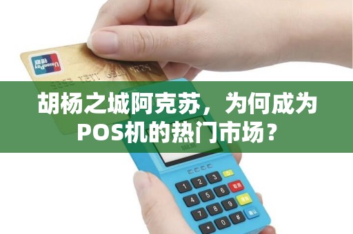 胡杨之城阿克苏，为何成为POS机的热门市场？