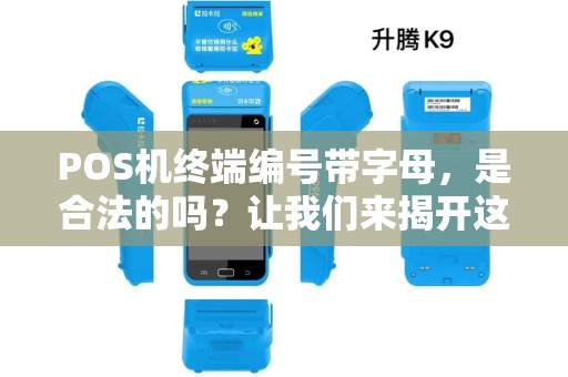 POS机终端编号带字母，是合法的吗？让我们来揭开这个神秘面纱！