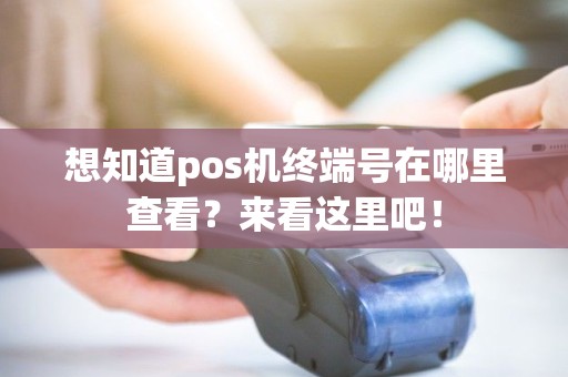 想知道pos机终端号在哪里查看？来看这里吧！