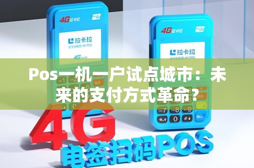 Pos一机一户试点城市：未来的支付方式革命？