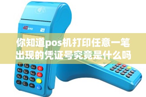 你知道pos机打印任意一笔出现的凭证号究竟是什么吗？！