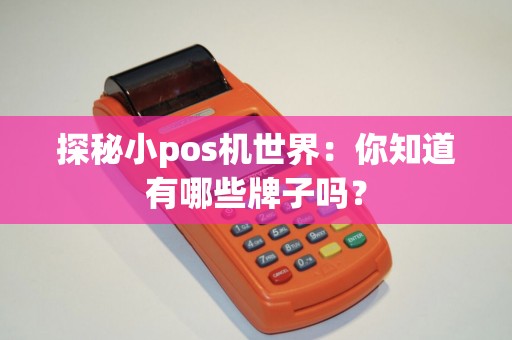 探秘小pos机世界：你知道有哪些牌子吗？