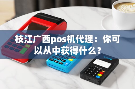 枝江广西pos机代理：你可以从中获得什么？