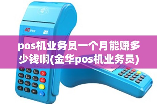 pos机业务员一个月能赚多少钱啊(金华pos机业务员)