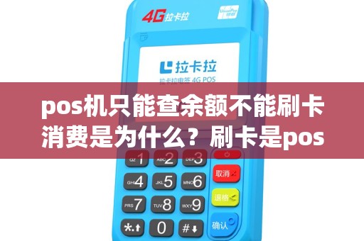 pos机只能查余额不能刷卡消费是为什么？刷卡是pos显示这个提示码！