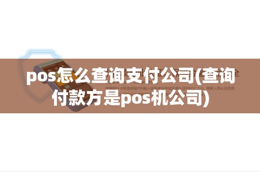 pos怎么查询支付公司(查询付款方是pos机公司)