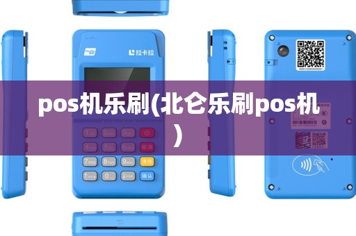 pos机乐刷(北仑乐刷pos机)