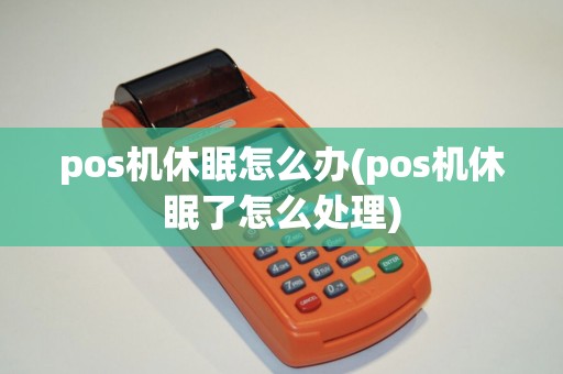 pos机休眠怎么办(pos机休眠了怎么处理)