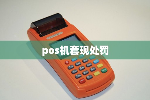 pos机套现处罚