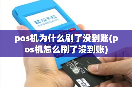 pos机为什么刷了没到账(pos机怎么刷了没到账)