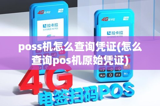 poss机怎么查询凭证(怎么查询pos机原始凭证) poss机怎么查询凭证(怎么查询pos机原始凭证)