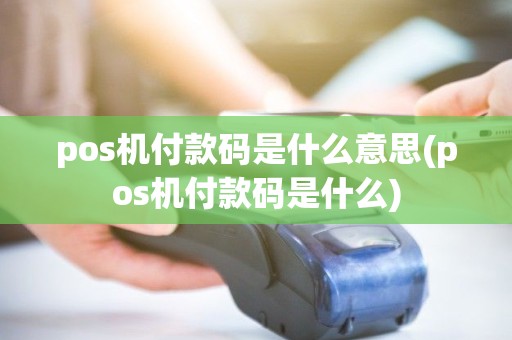 pos机付款码是什么意思(pos机付款码是什么) pos机付款码是什么意思(pos机付款码是什么)
